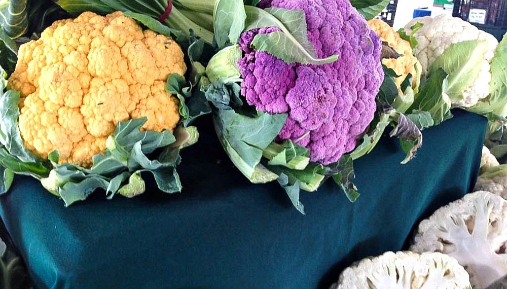 Australien: Queensland – meine Hotel & Food Tipps